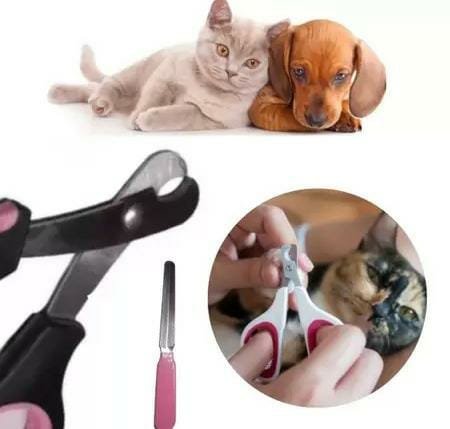 Alicate de Unhas Grande Pet Cães E Lixa Para Cachorro - Imagem 3